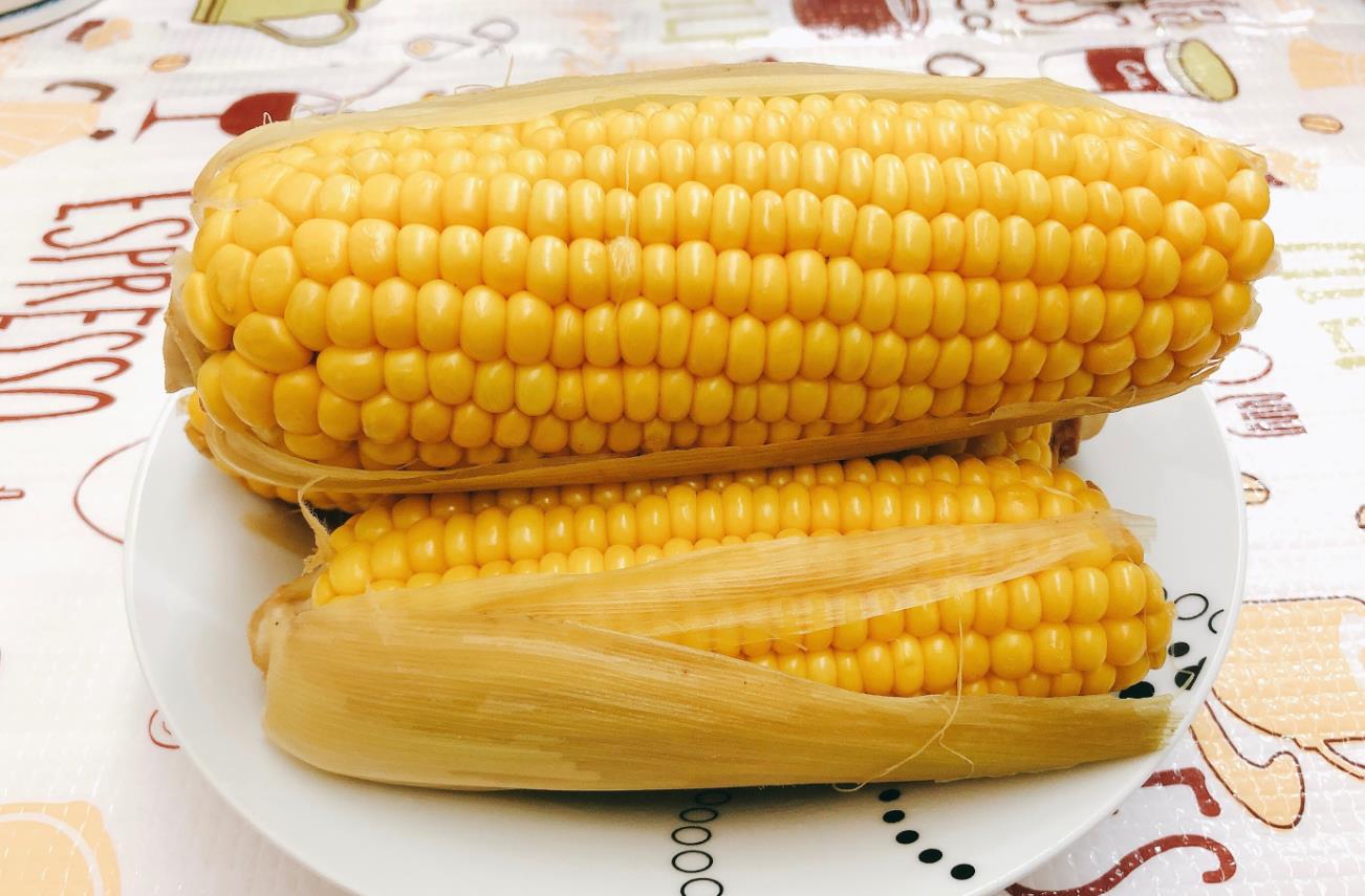 玉米套种指天椒高产栽培技术