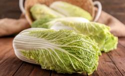 大白菜叶缘干枯是什么原因造成的？
