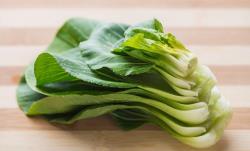 怎样培育冬壮春发油菜